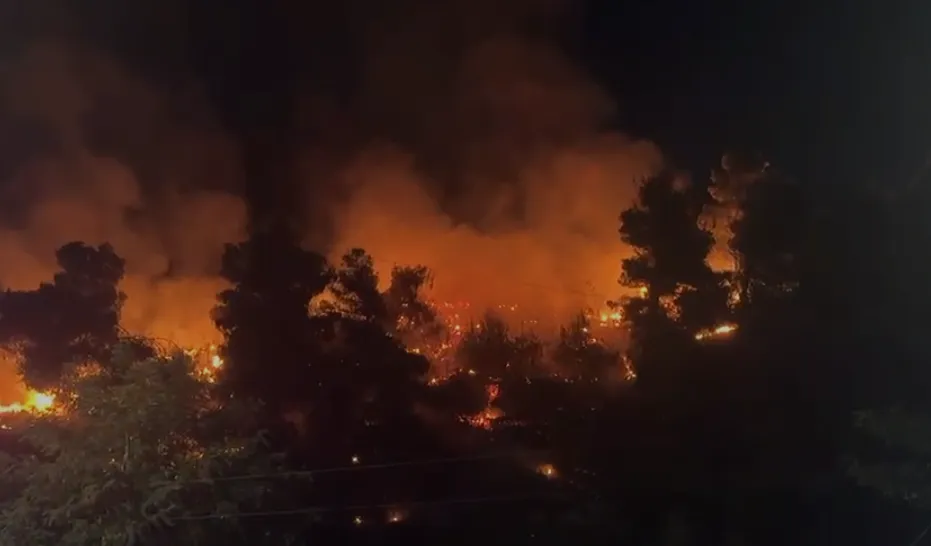 Zjarr në Shëngjin, flakët i afrohen rrugës kryesore
