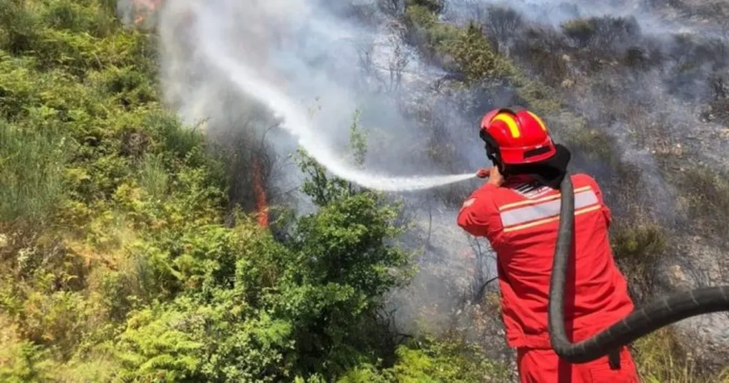 Temperaturat ekstreme/ IGJEO jep alarmin: 3 qarqet më të rrezikuara nga zjarret