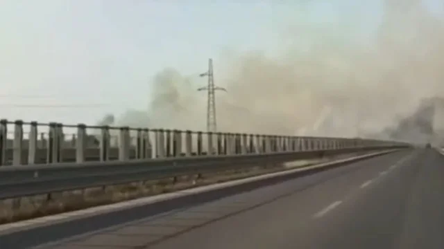 Zjarr përgjatë autostradës Fier–Vlorë/ Tymi mbulon zonën, vështirësohet qarkullimi i automjeteve