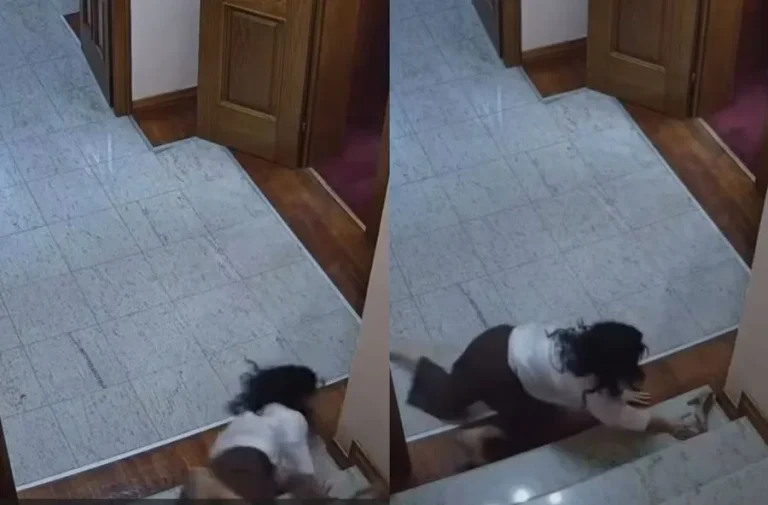 Tentoi që të ndalonte Agron Shehajn që i mori dokumentin, momenti kur këshilltarja e Parlamentit rrëzohet mga shkallët