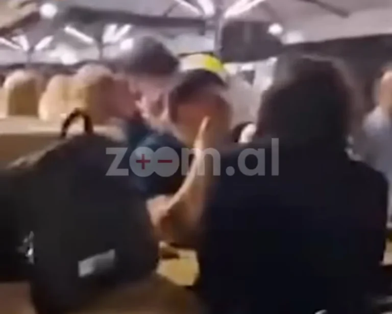 Shqipëria në protestë, socialistët KAPEN MAT duke lozur murlan në Strasburg